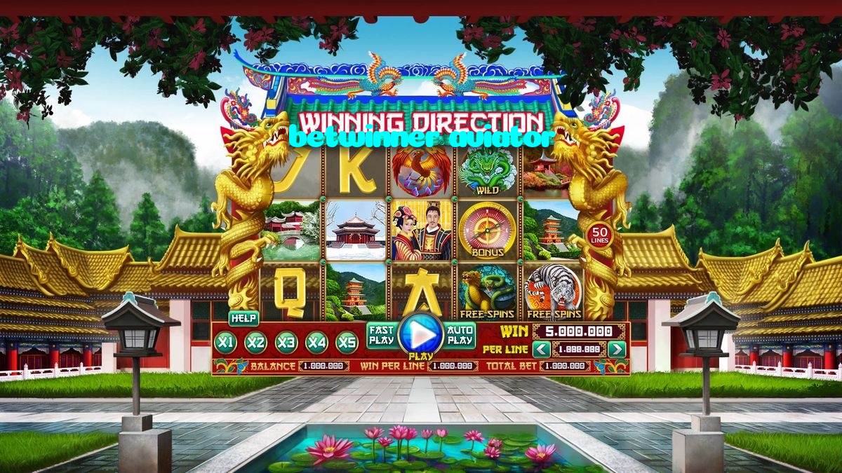 available types of betwinner aviator bet including pre-match live express and system bets